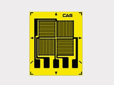 韓國CAS凱士Full-Bridge FB-Series Strain Gage (Special order)  應(yīng)變器